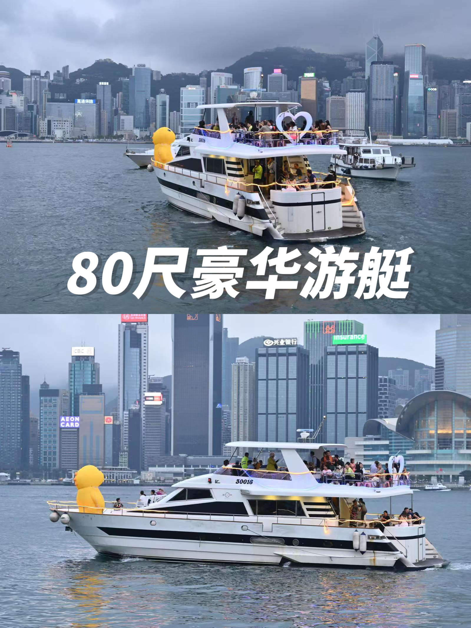 包含海岛环礁游艇赛，海上运动的奢华盛宴的词条