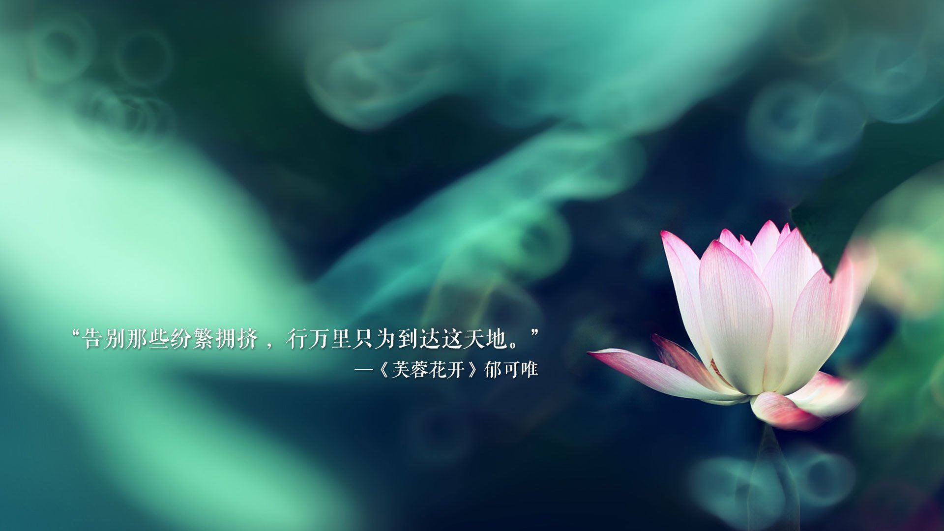 史上最精彩“团队合作”合集：战术配合完美演绎！，团队合作rtc