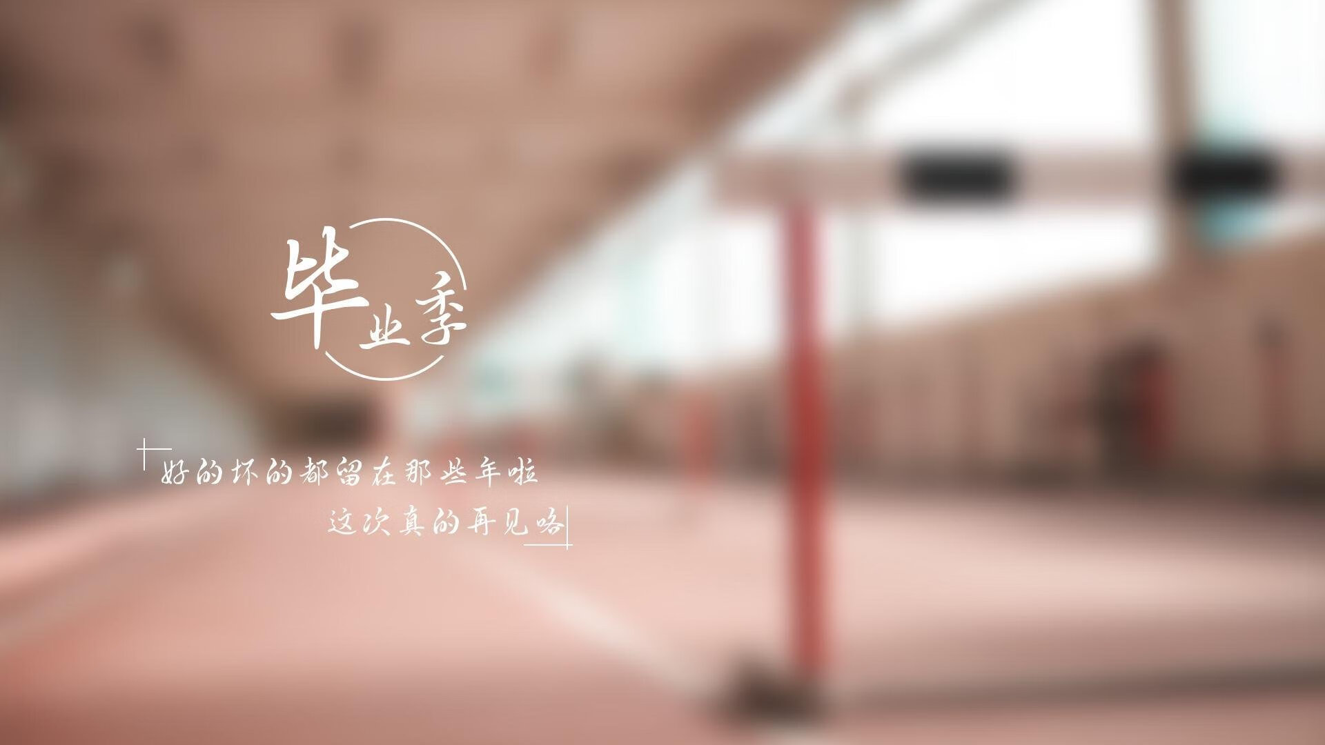 比利时足协解雇国家队主教练多梅尼科·特德斯科。，比利时足球队主教练