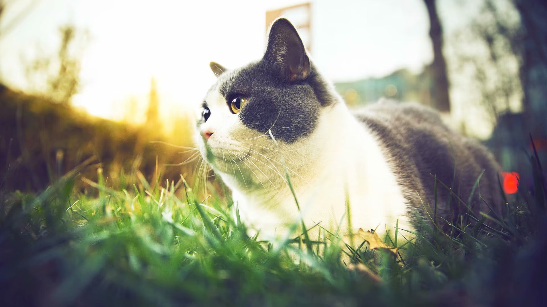 leyu.com-G联赛球队教练组调整，gr教练是谁