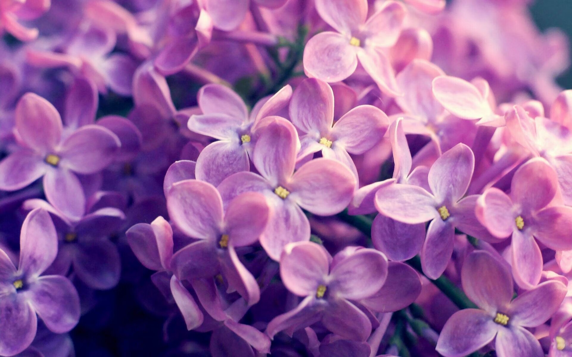 leyu.com-乌拉圭男足在巴黎奥运会上取得历史性成绩，乌拉圭足球运动员,别名中国男孩