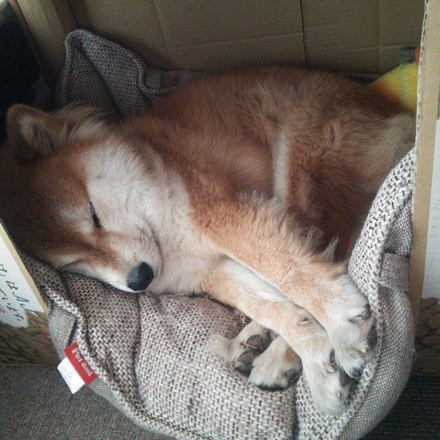 全球粉丝见面会圆满举行,全球粉丝数量