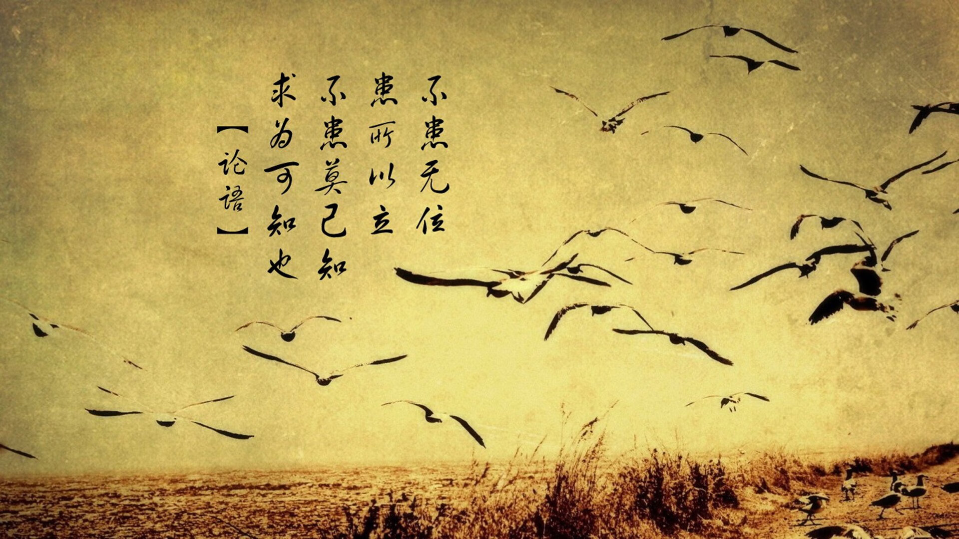 帕瓦尔转会至国际米兰,帕瓦尔集锦