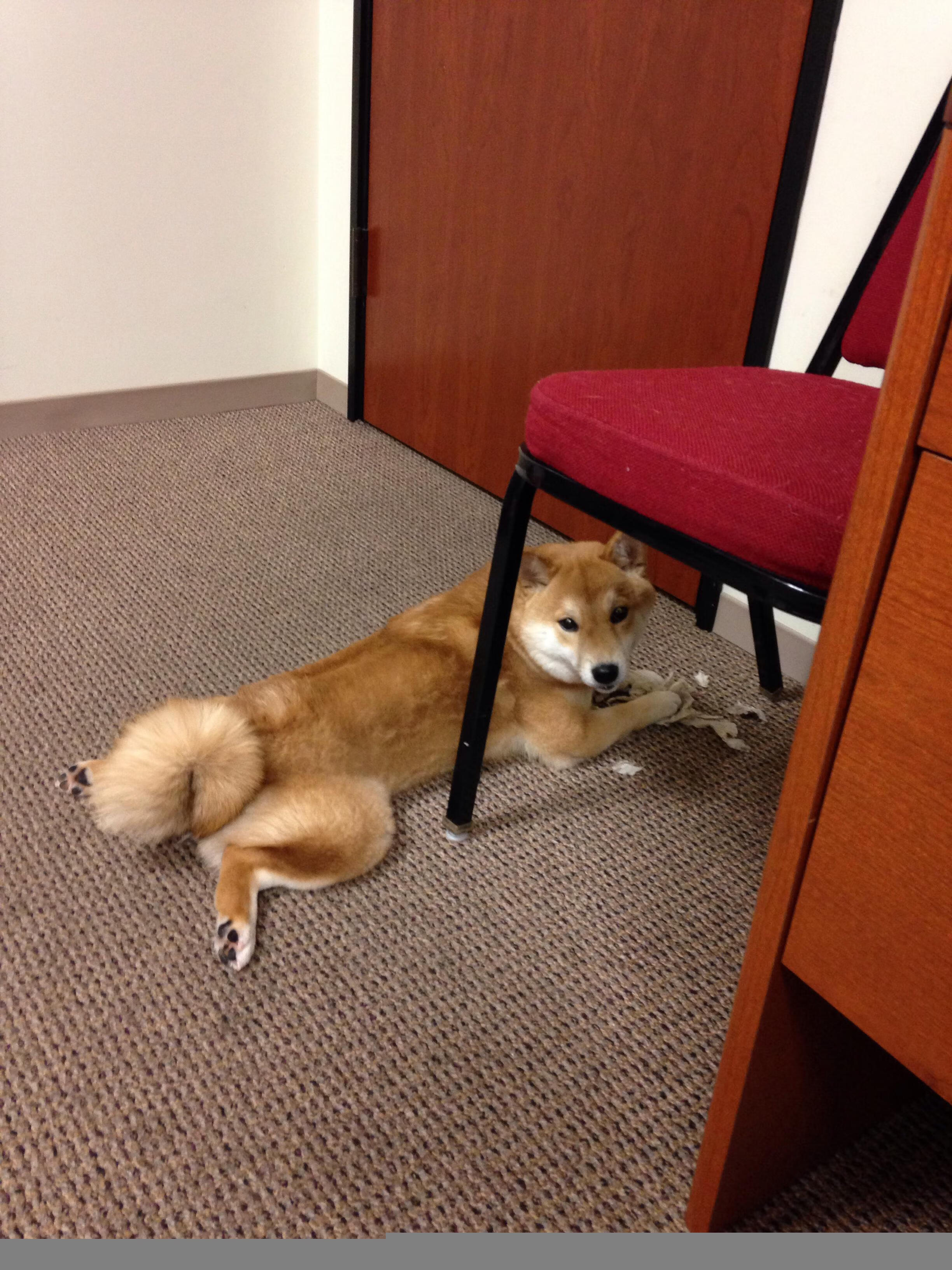 Leyu Sports (乐鱼体育)-热刺客场小胜伯恩茅斯，保住前四位置，热刺vs伯恩茅斯