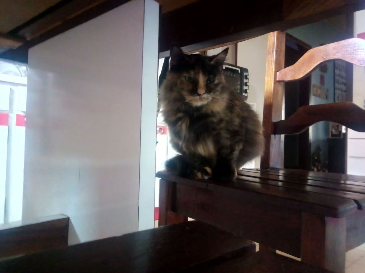 重庆斯威客场击败河南建业,中超冲劲足,重庆斯威赛程