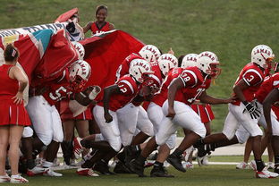 乐鱼（LEYU）体育-世界青少年庆典运动会精彩纷呈，青春无悔，2021年世界青年运动会在哪里举办