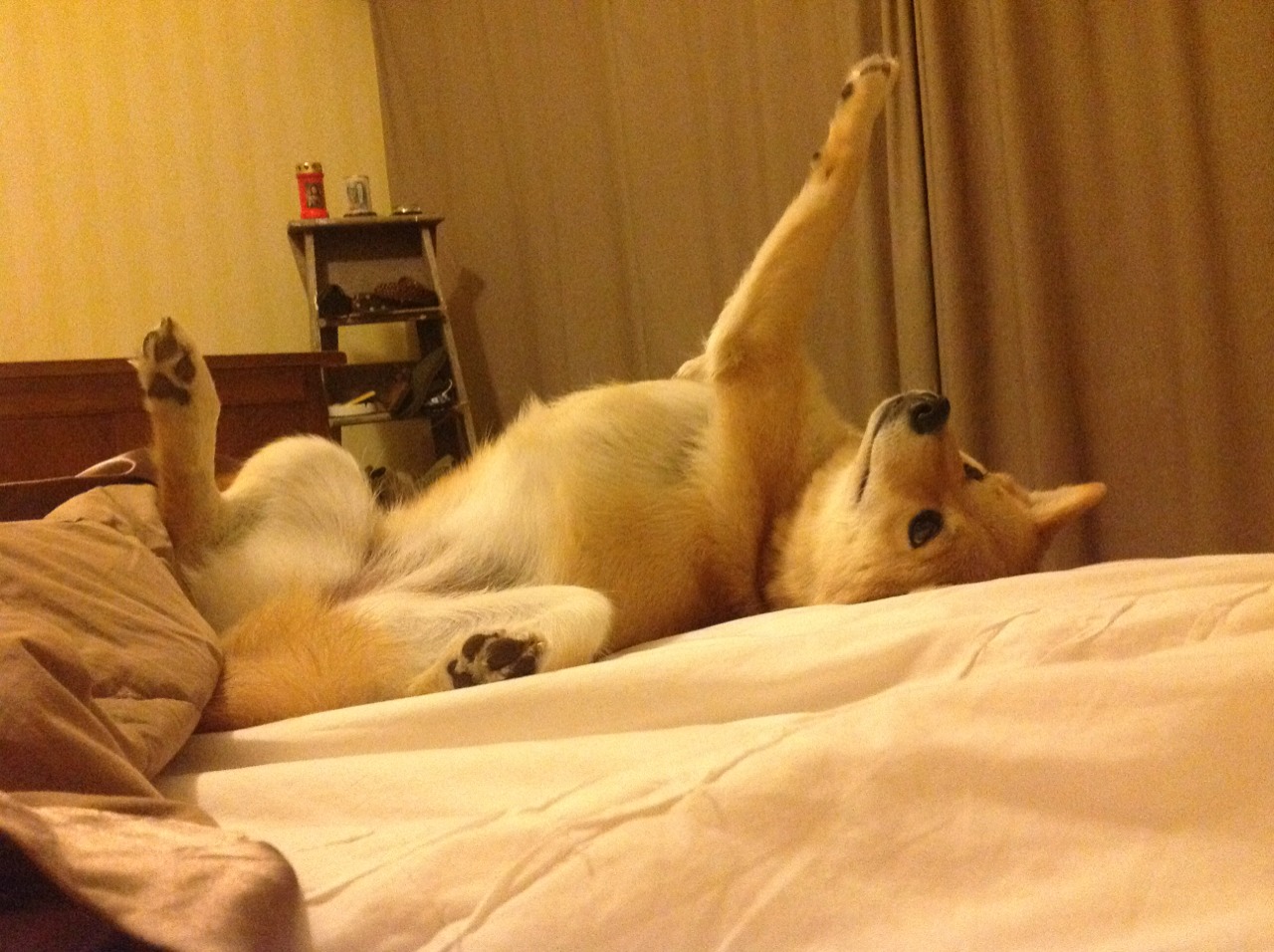 中国篮球职业联赛裁判员执法规范建设，篮球裁判员执裁案例测试题