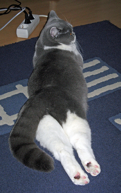 LeyuSports-法甲球队使用神经反馈系统提升球员情绪控制力