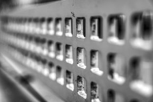 下载乐鱼体育APP-高校运动训练科学管理模式创新实践，运动训练科研管理工作要求