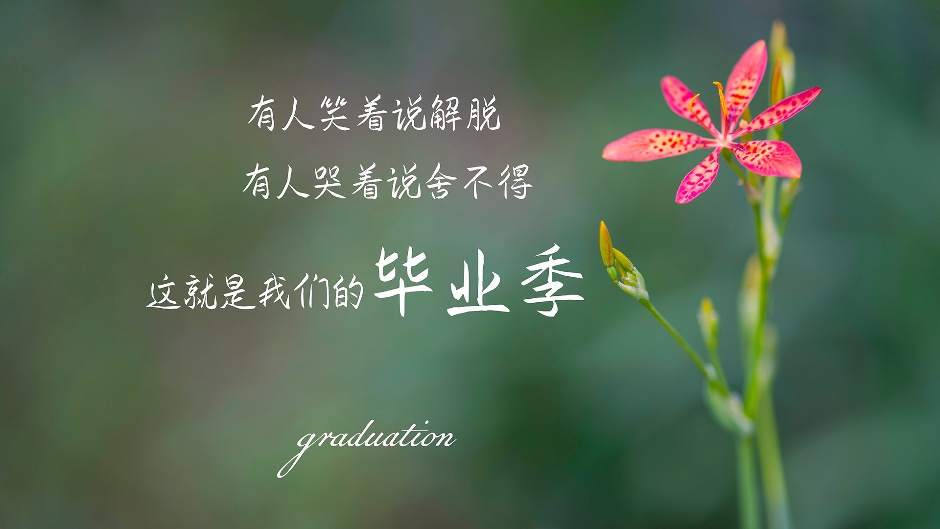 高校运动训练科学管理模式创新实践,运动训练科研管理工作要求