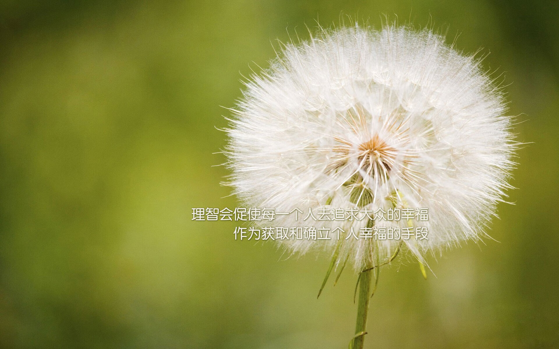 基层足球项目评估体系尚未建立