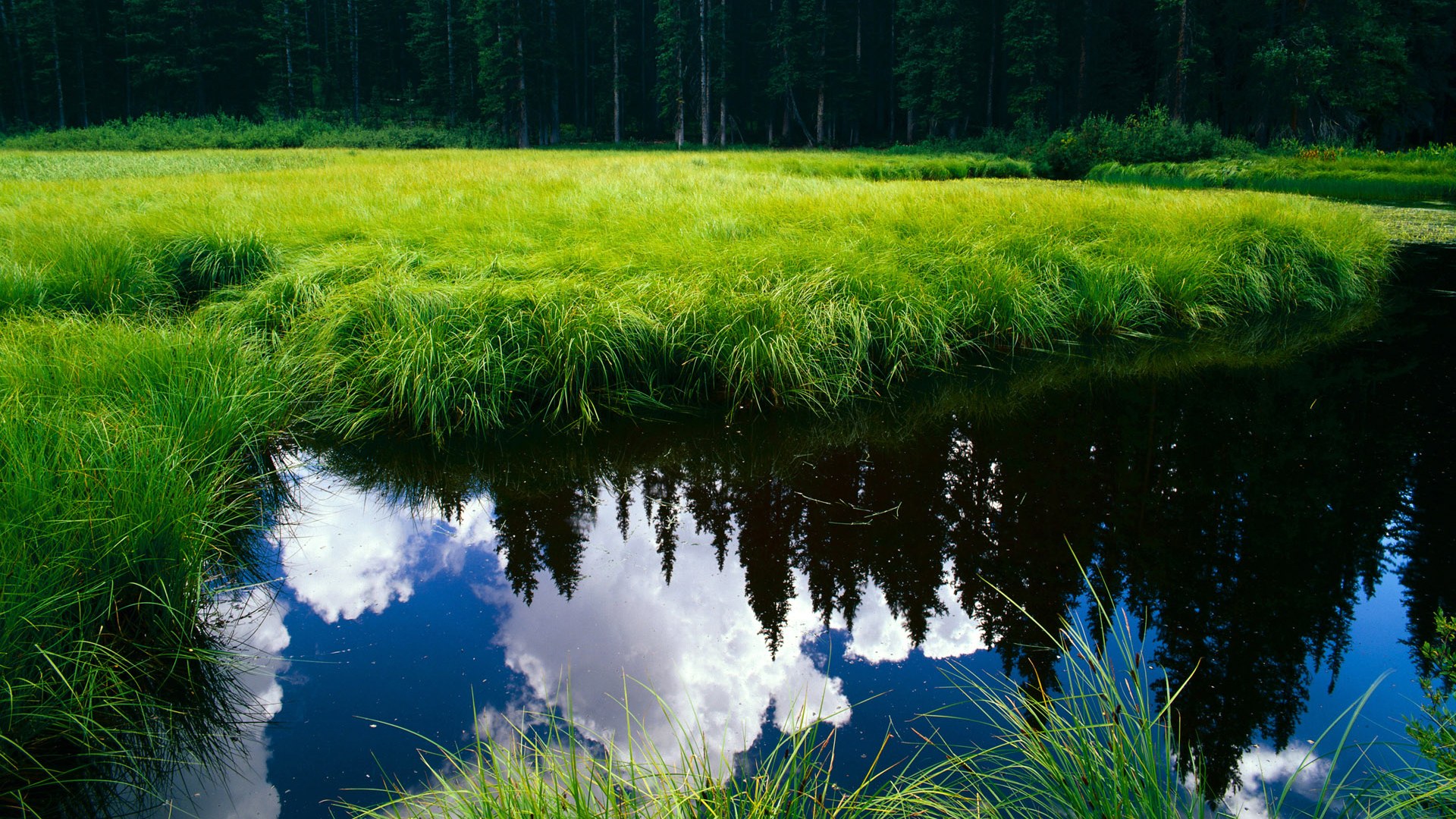 乐鱼电竞· (中国)官方网站-大学生篮球联赛关注度激增有望输送更多人才，大学生篮球职业联赛