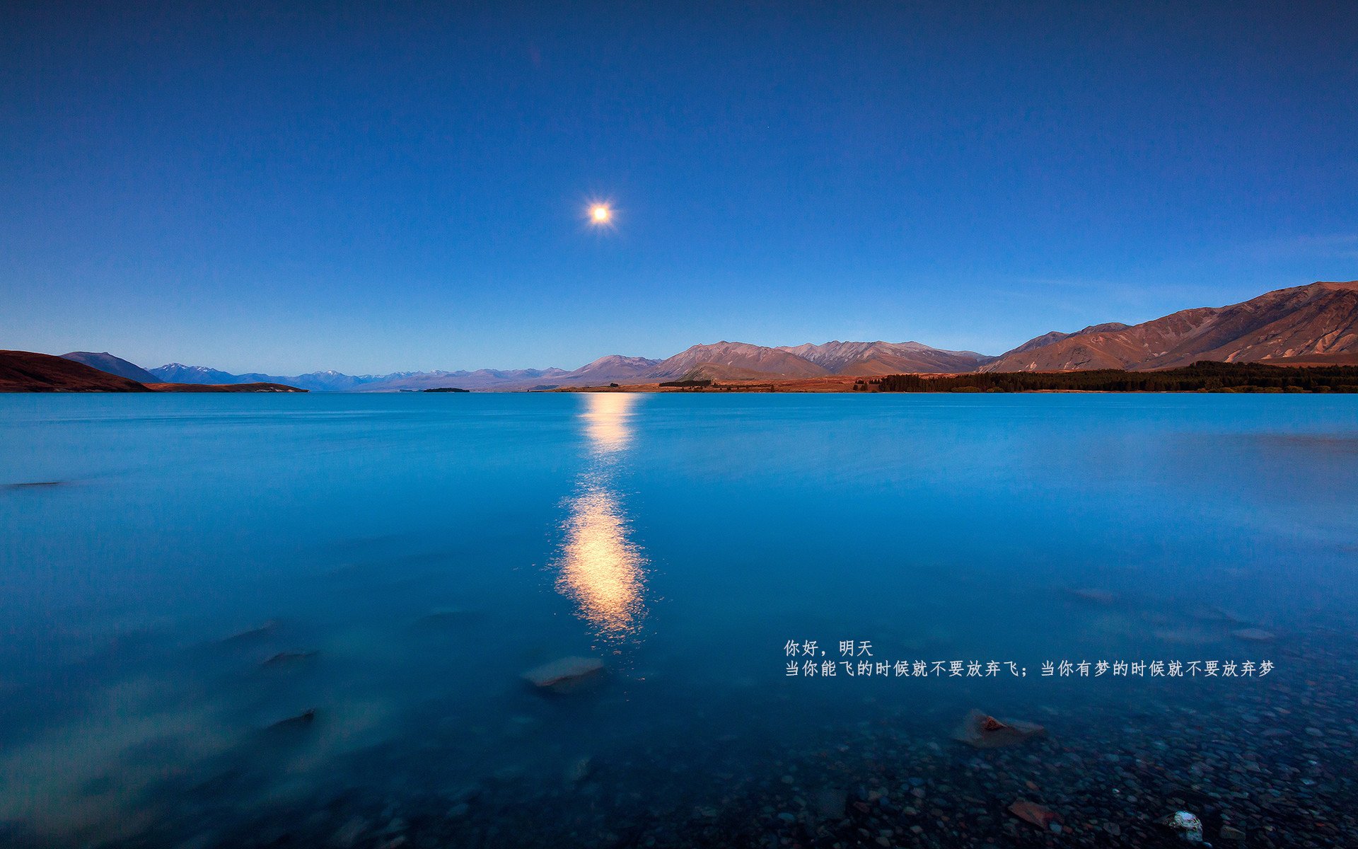 乐鱼官方登录入口-数据曲线：美国选手配速高峰前移，美国队短跑选手