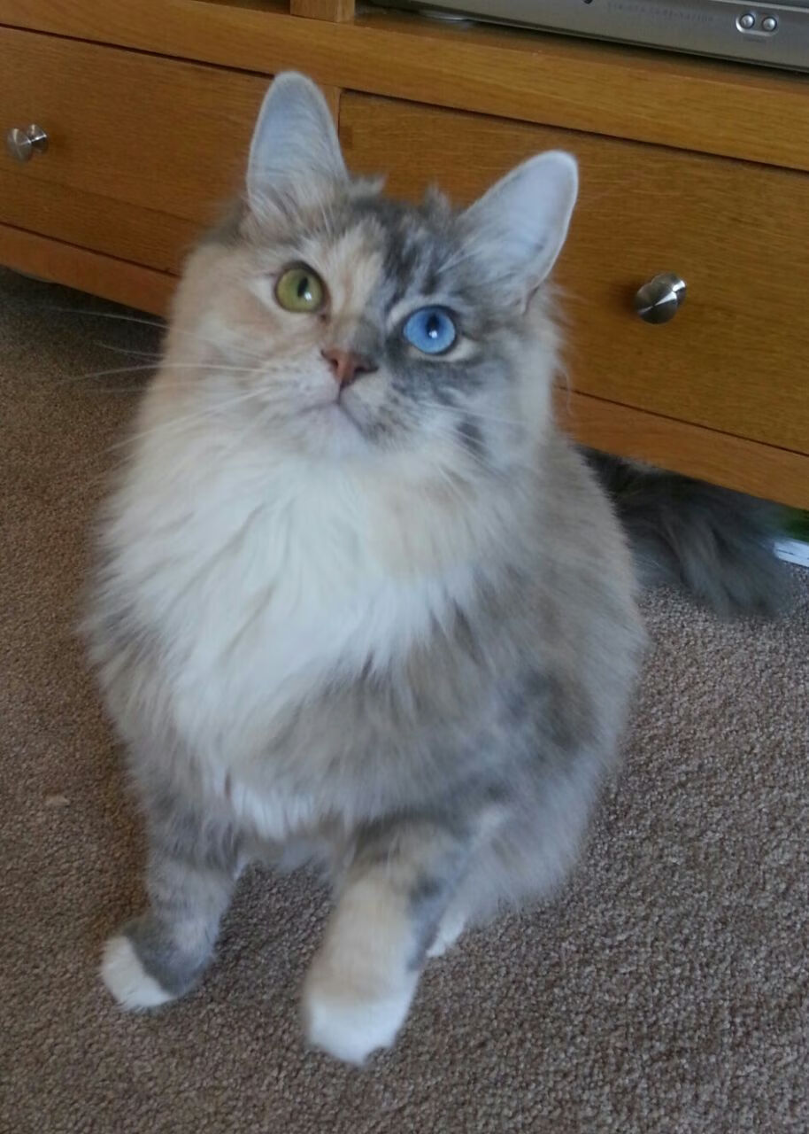 乐鱼体育-田径队康复训练效果明显，田径恢复训练一开始要做什么