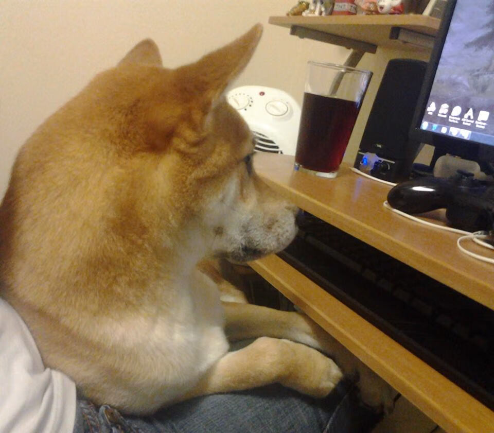 该项目划频控制优异,配速节奏有序