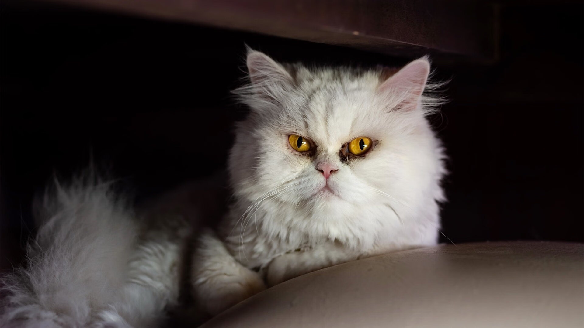 Leyu Sport登录入口-足球俱乐部青训体系日臻完善，足球俱乐部青训发展计划