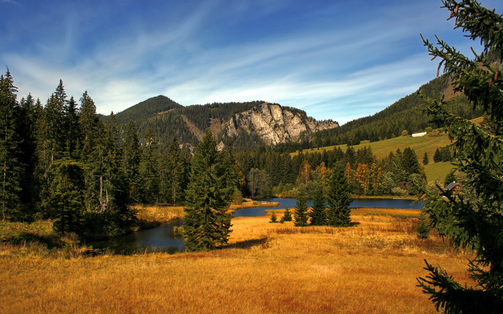 乐鱼体育平台app下载-凯莉·麦基翁女子200米仰泳决赛精彩亮相，美国游泳麦基翁