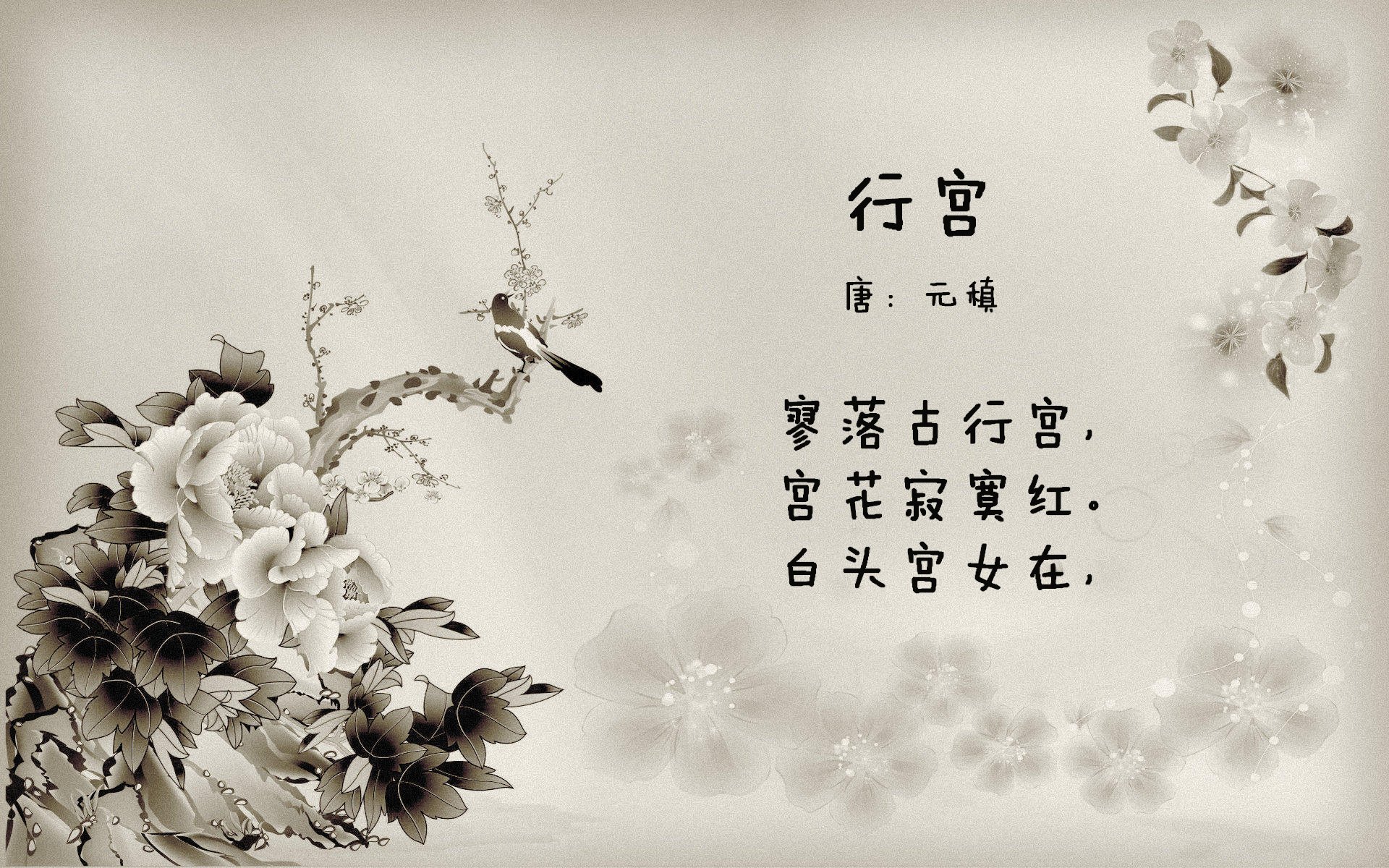 墨西哥男篮在国际邀请赛中出色表现，走向更高舞台