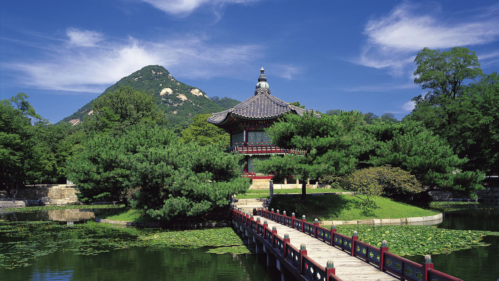 希腊女篮在欧洲锦标赛中再夺金,传统篮球强国继续前行,希腊女球迷