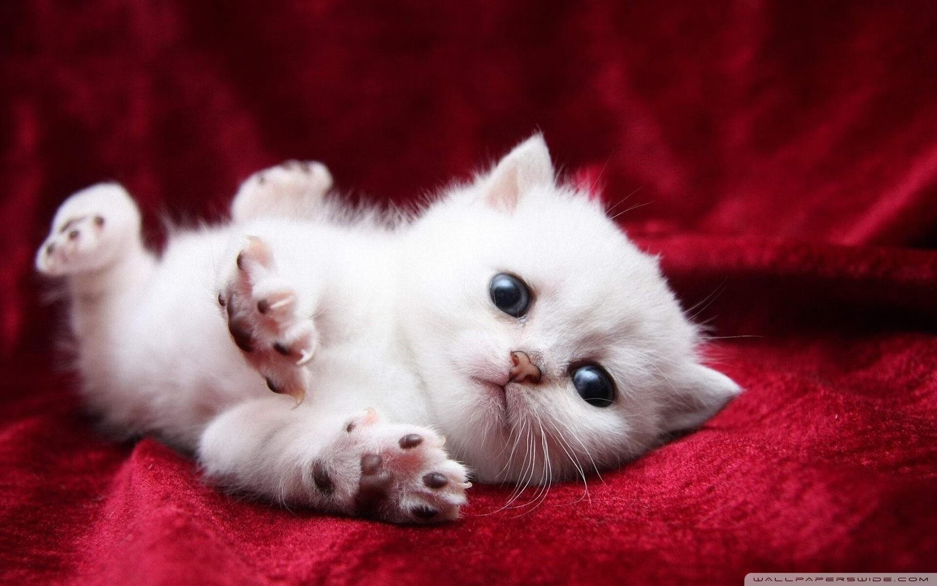 乐鱼体育平台官网-绿色环保足球场建设标准不断完善，推动行业绿色转型，绿色足球场怎么形容