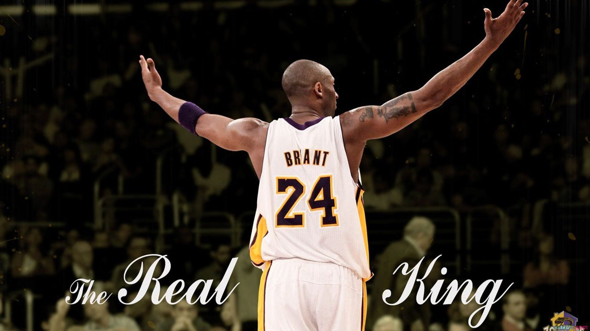 乐鱼电竞在线平台-史上最激烈的季后赛“火拼”，都有哪些经典瞬间让人难忘？，火拼 火并